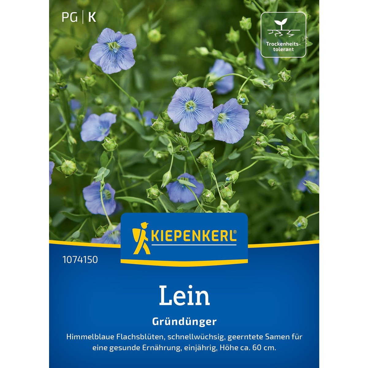 Zelené hnojenie - ľan - predaj semien - 60 g