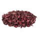 Cibuľa sadzačka Romy jarná - Allium cepa - predaj cibule - 500 g