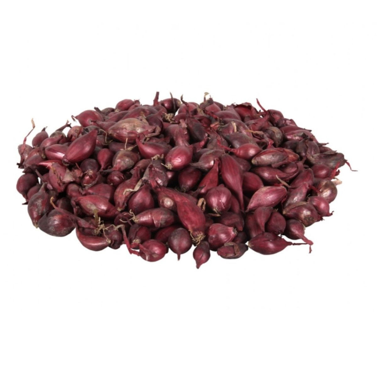 Cibuľa sadzačka Romy jarná - Allium cepa - predaj cibule - 500 g
