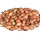 Cibuľa sadzačka žltá Hercules - Allium Cepa - predaj cibule - 500 g