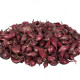 Cibuľa sadzačka Rómy - Allium cepa - predaj cibuliek - 250 g