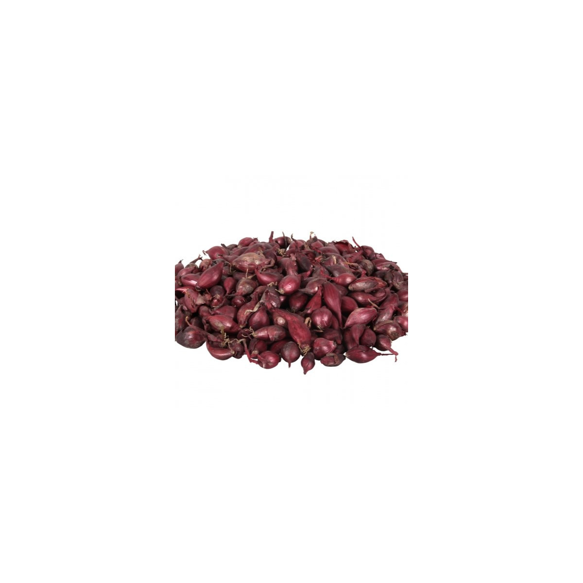 Cibuľa sadzačka Rómy - Allium cepa - predaj cibuliek - 250 g