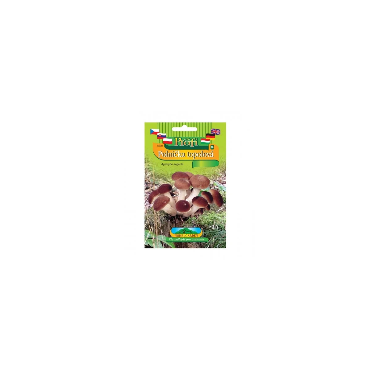 Sadba Polnička topoľová – Agrocybe aegerita – sadba húb – predaj