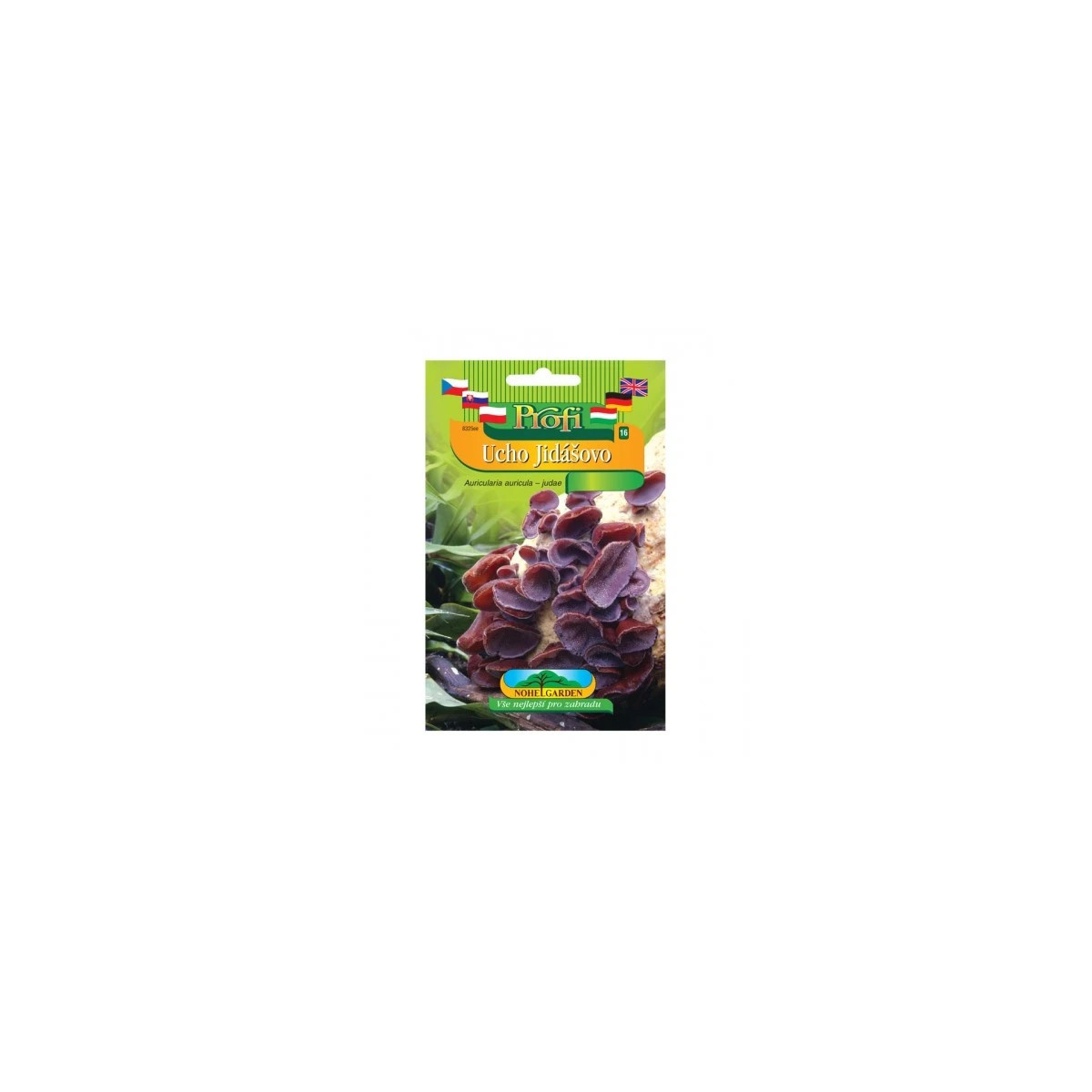 Sadba Ucho Judášovo – Auricularia auricula-judae – sadba húb – predaj