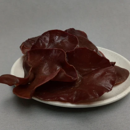 Sadba Ucho Judášovo – Auricularia auricula-judae – sadba húb – predaj
