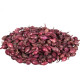 Cibuľa sadzačka Karmen - Allium cepa - predaj cibuliek - 500 g