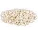 Cibuľa sadzačka Snowball - Allium cepa - predaj cibuliek - 500 g