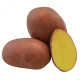 Sadbové zemiaky Red Anna - Solanum tuberosum - červené poloskoré - 5 kg