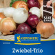 Semená cibule trio Hylander, Romy a Honeymoon - predaj výsevných pásikov - 1 ks