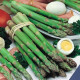 Špargľa Gijnlim - Asparagus officinalis - voľnokorenné sadenice špargle - 1 ks