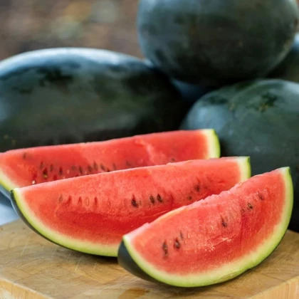 Melón vodný Little Darling F1 - Citrullus lanatus - predaj semien - 5 ks