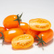 Paradajka tyčková Dattorange F1 - Solanum lycopersicum - predaj semien - 6 ks