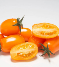 Paradajka tyčková Dattorange F1 - Solanum lycopersicum - predaj semien - 6 ks