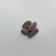 Indiánský banán - Paw Paw - Asimina triloba - predaj semien - 4 ks