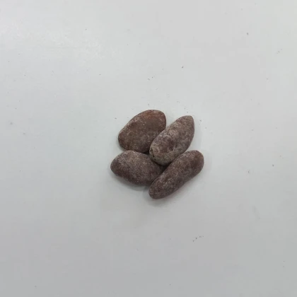 Indiánský banán - Paw Paw - Asimina triloba - predaj semien - 4 ks