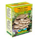 Hliva ustricová - Pleurotus ostreatus - sadivo - predaj - 250 ml