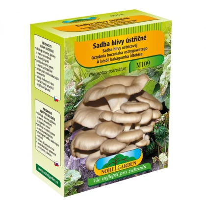 Hliva ustricová - Pleurotus ostreatus - sadivo - predaj - 250 ml