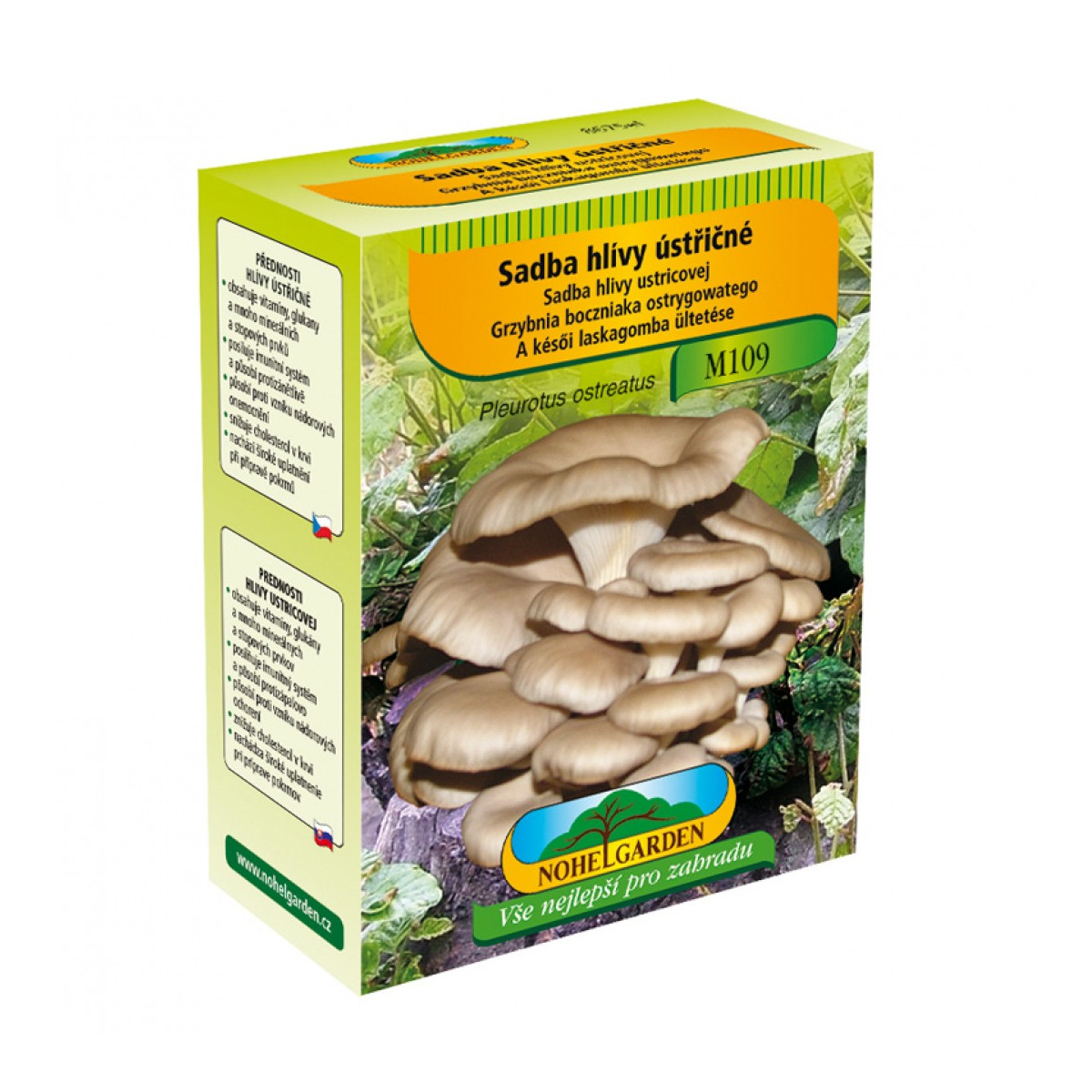 Hliva ustricová - Pleurotus ostreatus - sadivo - predaj - 250 ml