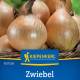 Cibuľa Exhibition - Allium cepa - predaj semien - 100 ks