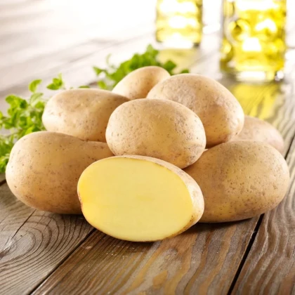 BIO Zemiaky sadbové Gunda - Solanum tuberosum - Kiepenkerl - predaj bio sadby - 10 ks