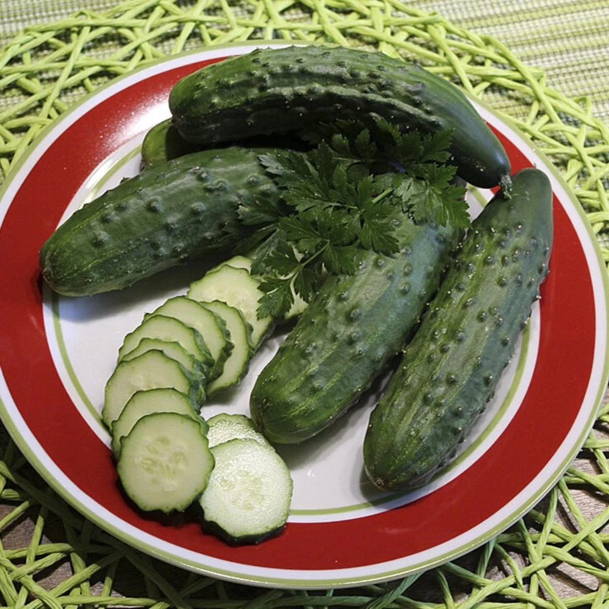 Uhorka Patio Snacker F1 - vhodná na balkón - Cucumis sativus - predaj semien - 8 ks