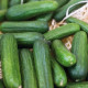 Uhorka Little Snack F1 – Cucumis sativus – predaj semien uhorky