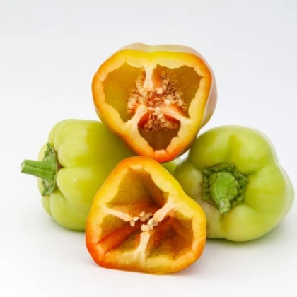Paprika Amy - Capsicum annuum - predaj semien papriky - 50 ks