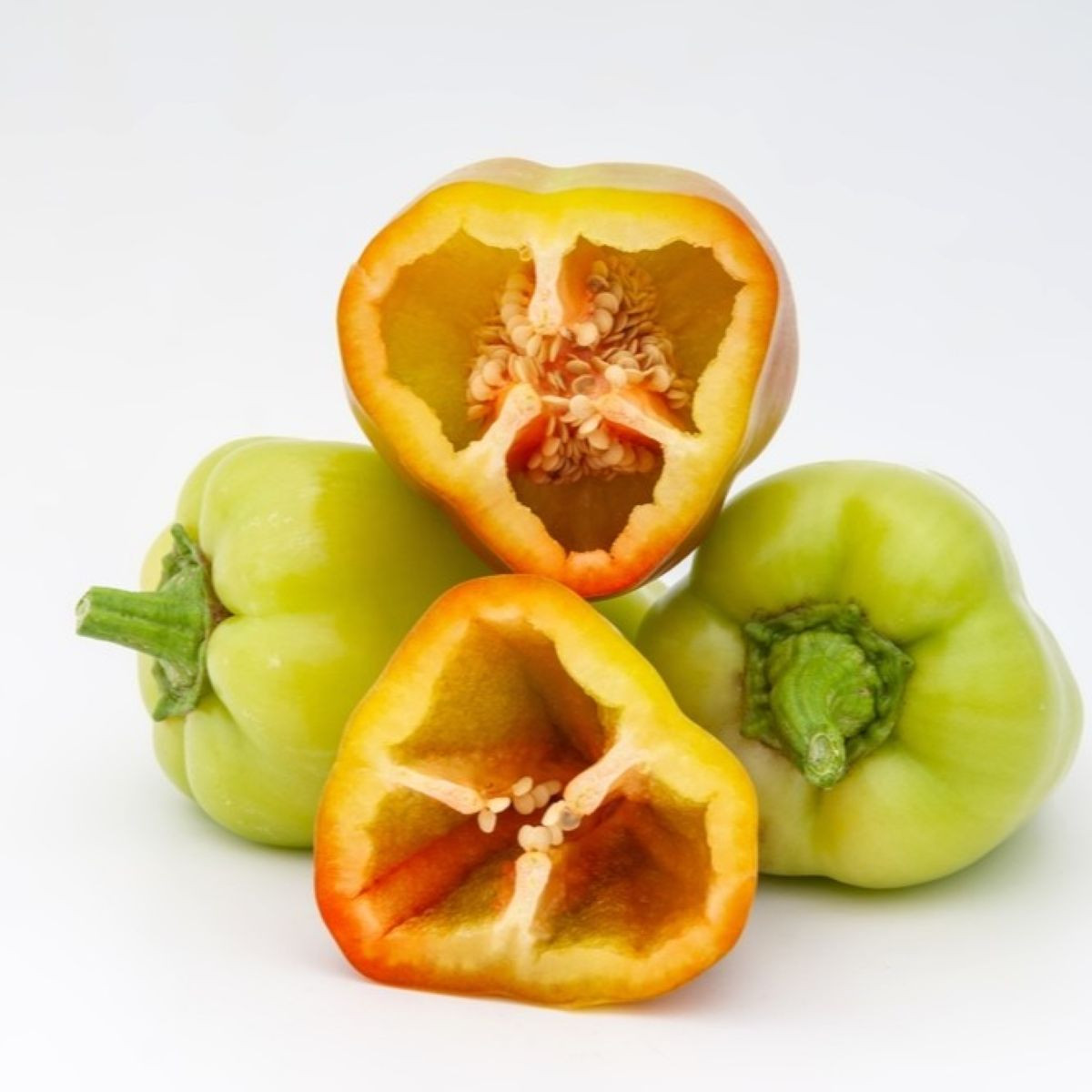Paprika Amy - Capsicum annuum - predaj semien papriky - 50 ks