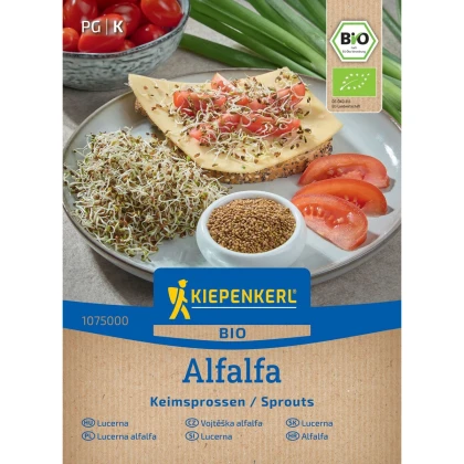 Bio Alfalfa - Lucerna - Kiepenkerl - Medicago sativa - predaj bio semien - 40 g