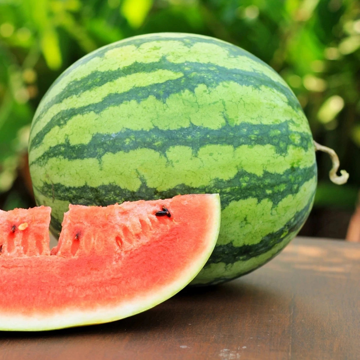 Melón vodný Nanoor F1 - Citrullus lanatus - predaj semien - 6 ks