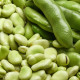 Bôb obyčajný biely Dreifach Weisse - Vicia faba - predaj semien - 20 ks