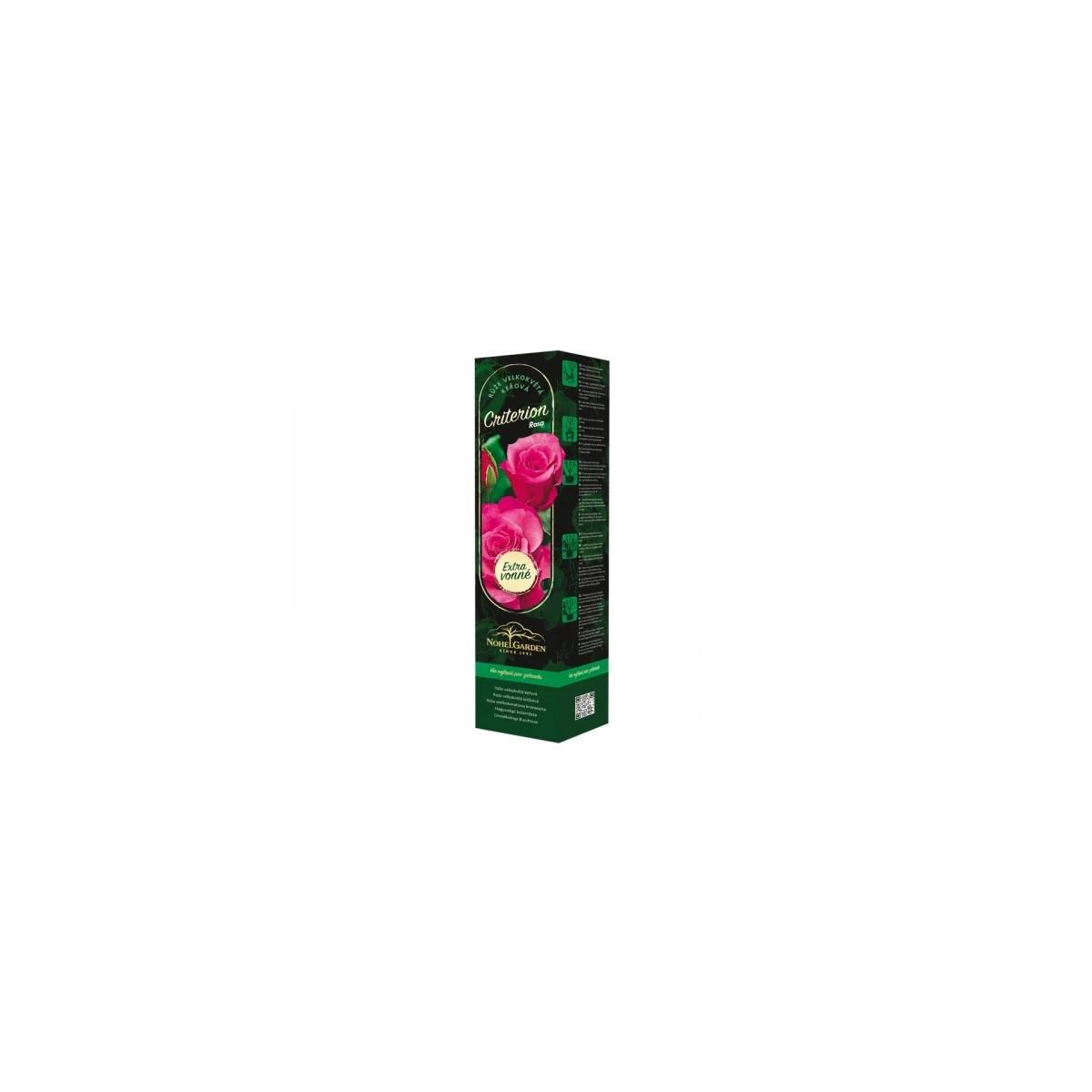 Ruža veľkokvetá kríková - Fragrant Criterion - Rosa - voľnokorenné sadenice - 1 ks