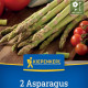 Špargľa Boonlim - Asparagus officinalis - voľnokorenné sadenice špargle - 2 ks