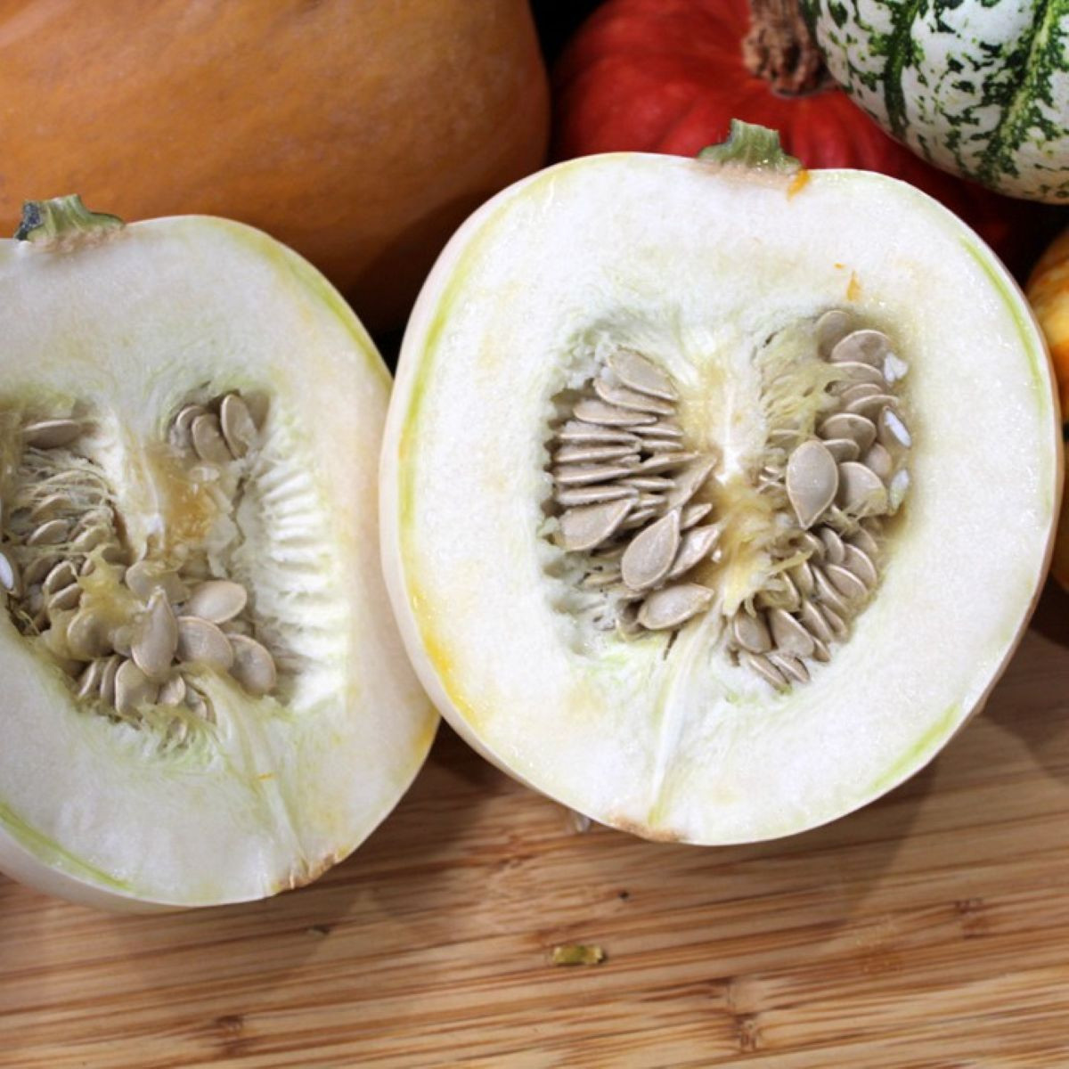 Tekvica White Pearl - Cucurbita pepo - predaj semien - 6 ks