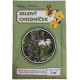 Zelený chodníček - Planta Naturalis - lúčna zmes - 10 g