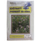 Kvetnatý podrast do tieňa - Planta Naturalis - lúčna zmes - 40 g