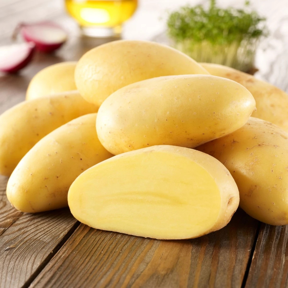Sadbové zemiaky Cilena - Solanum tuberosum - Kiepenkerl - sadivo - 10 ks
