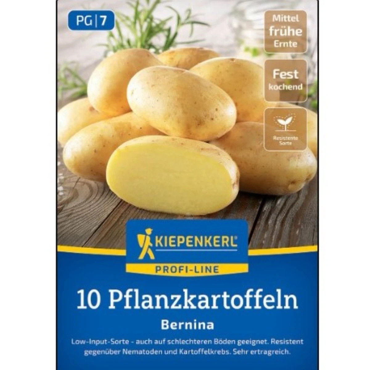 Sadbové zemiaky Bernina - Solanum tuberosum - Kiepenkerl - sadivo - 10 ks