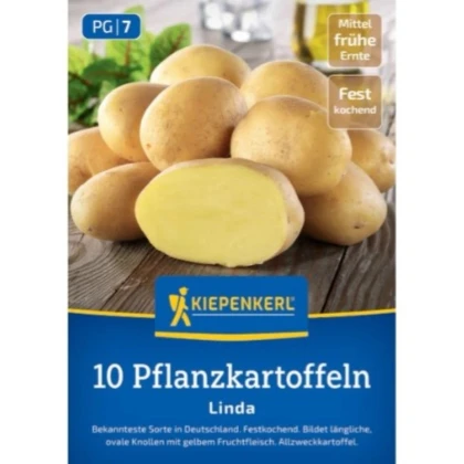 Sadbové zemiaky Linda - Solanum tuberosum - Kiepenkerl - sadivo - 10 ks