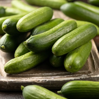 Miniuhorka šalátová La Diva - Cucumis sativus - osivo uhorky - 8 ks