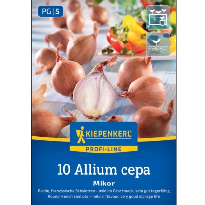 Cibuľa šalotka Mikor - Allium cepa - cibuľky sadzačky - 10 ks