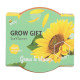 Buzzy Grow Gifts - Minisada na pestovanie slnečnice - Pieterpik - 1 ks
