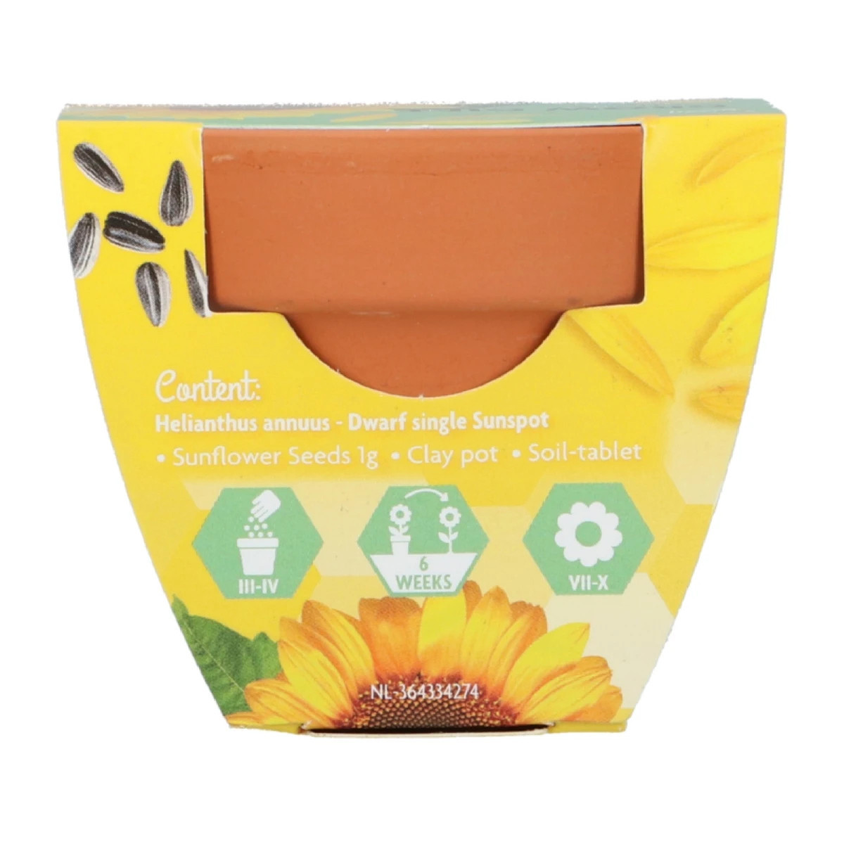 Buzzy Grow Gifts - Minisada na pestovanie slnečnice - Pieterpik - 1 ks