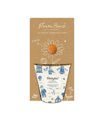 Pestovateľský set - Grow kit - Holandský mix - Blossombs - 1 ks