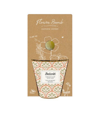 Darčekový set - Grow kit - zmes na pestovanie byliniek - Blossombs - 1 ks
