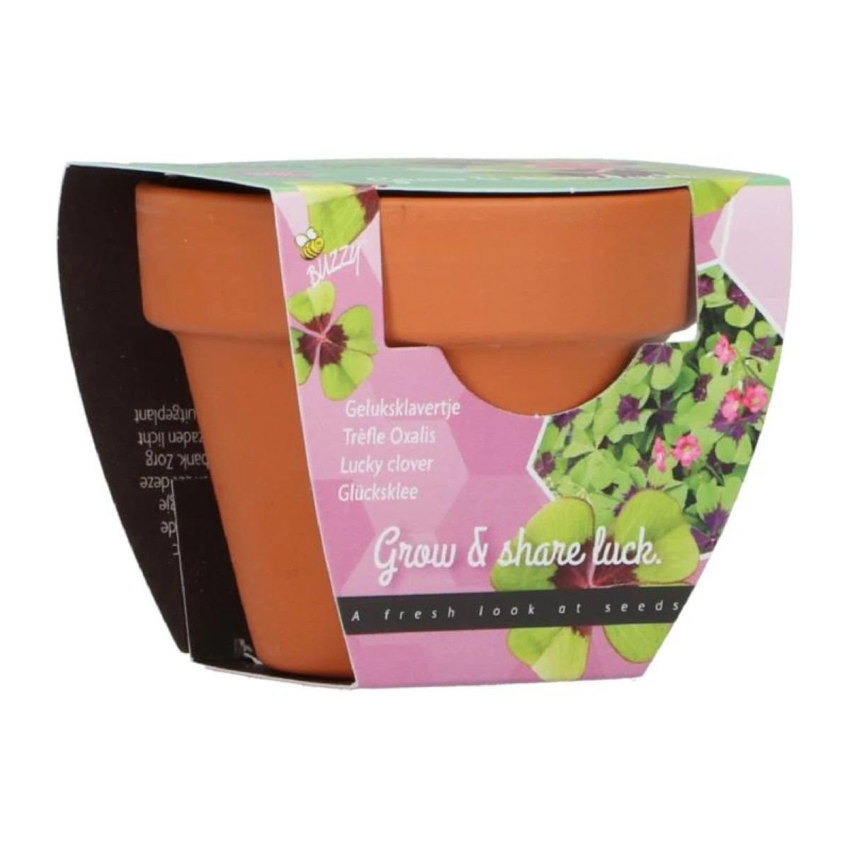 Buzzy Grow Gifts – Minisada na pestovanie štvorlístka - Pieterpik - 1 ks