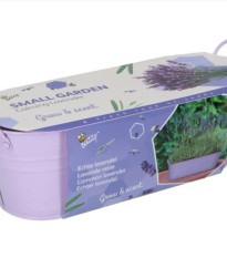 Buzzy - Minizáhradka Upokojujúca levanduľa - Pieterpik - 1 ks