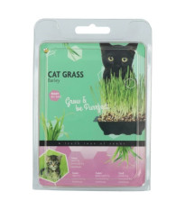 Buzzy - Mačacia tráva na domáce pestovanie - Pieterpik - 50 g