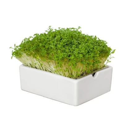 Štartovacia súprava BIO microgreen - Heimgart - súprava vrátane 2 plátov - 1 ks