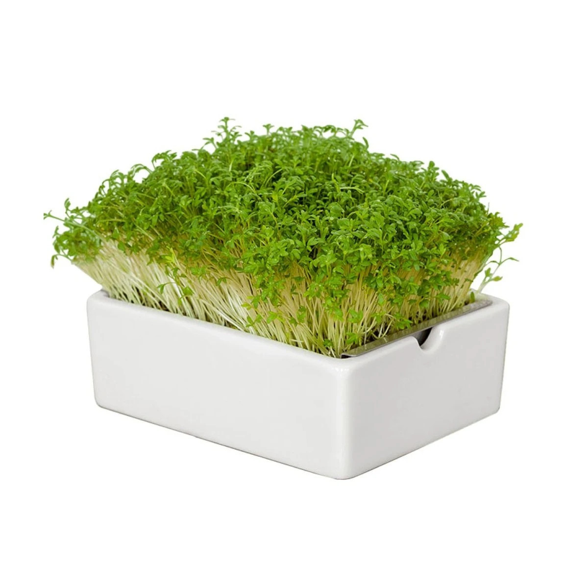 Štartovacia súprava BIO microgreen - Heimgart - súprava vrátane 2 plátov - 1 ks